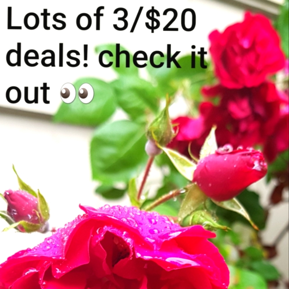 3 for $20 Deals!!